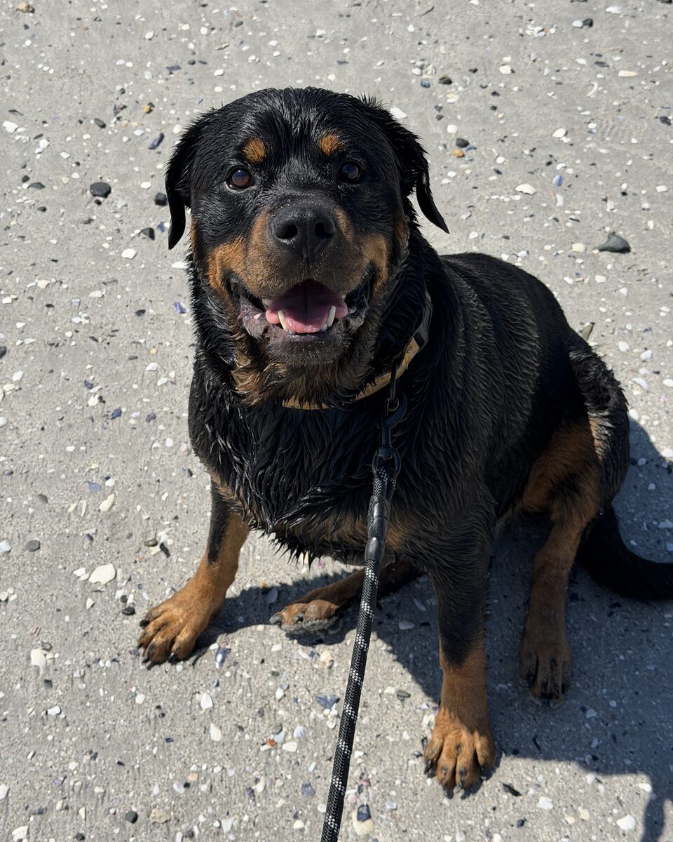Kai sitting on the beach after a swim